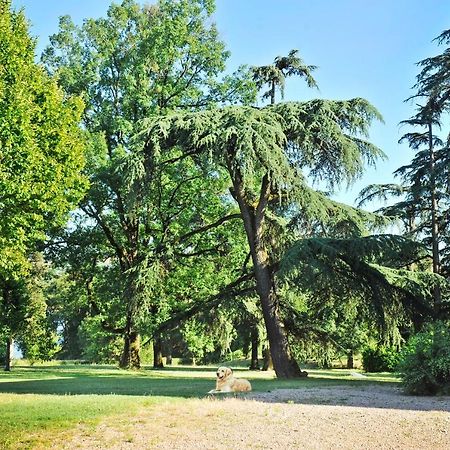 Clos Saint-Blaise Albi Exterior foto